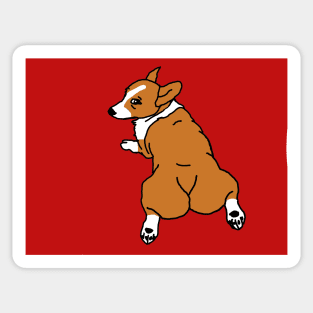 Corgi Sticker